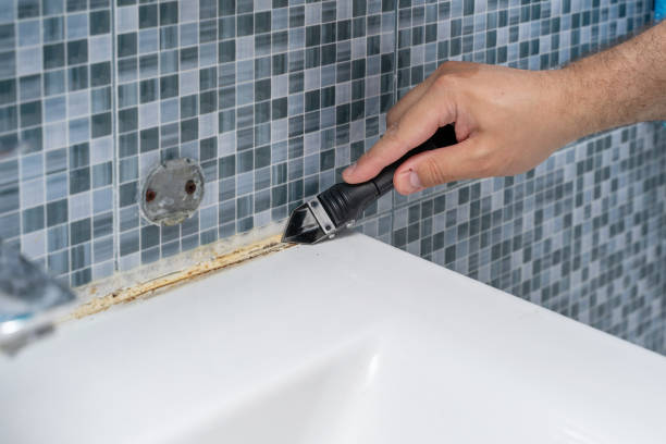 Best Mold Removal Company Near Me  in Horace, ND